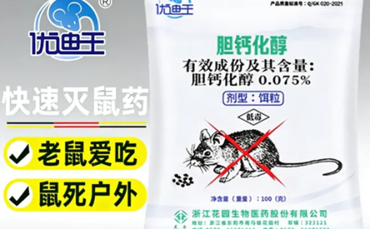 家裡出現零星螞蟻？別大意！這可能是蟻群進攻的前兆